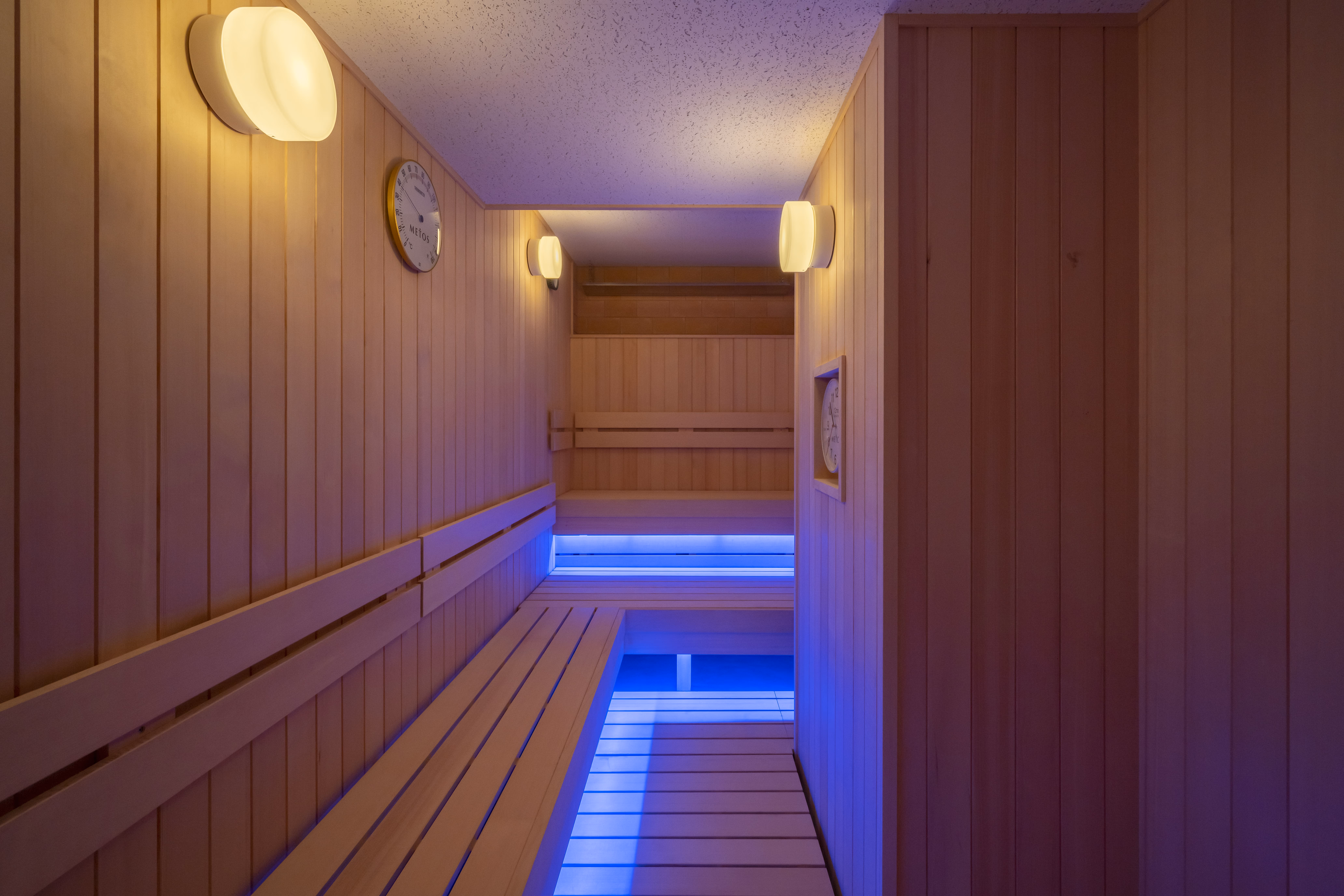 VIPルーム - サウナ